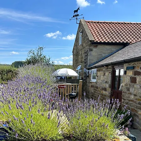 بيت للعطل Twattleton Kilburn Yorkshire - Beautiful Views يورك
