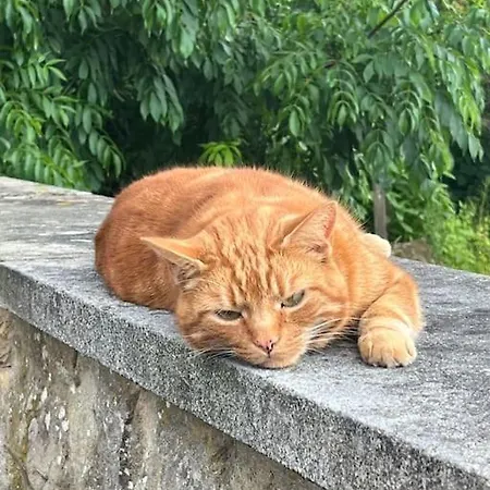 別荘 Twattleton Kilburn Yorkshire - Beautiful Views ヨーク