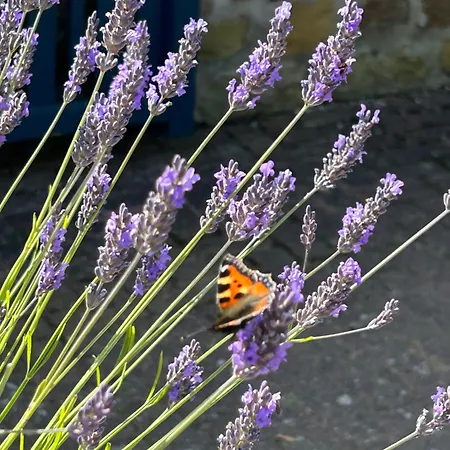 Twattleton Kilburn Yorkshire - Beautiful Views York